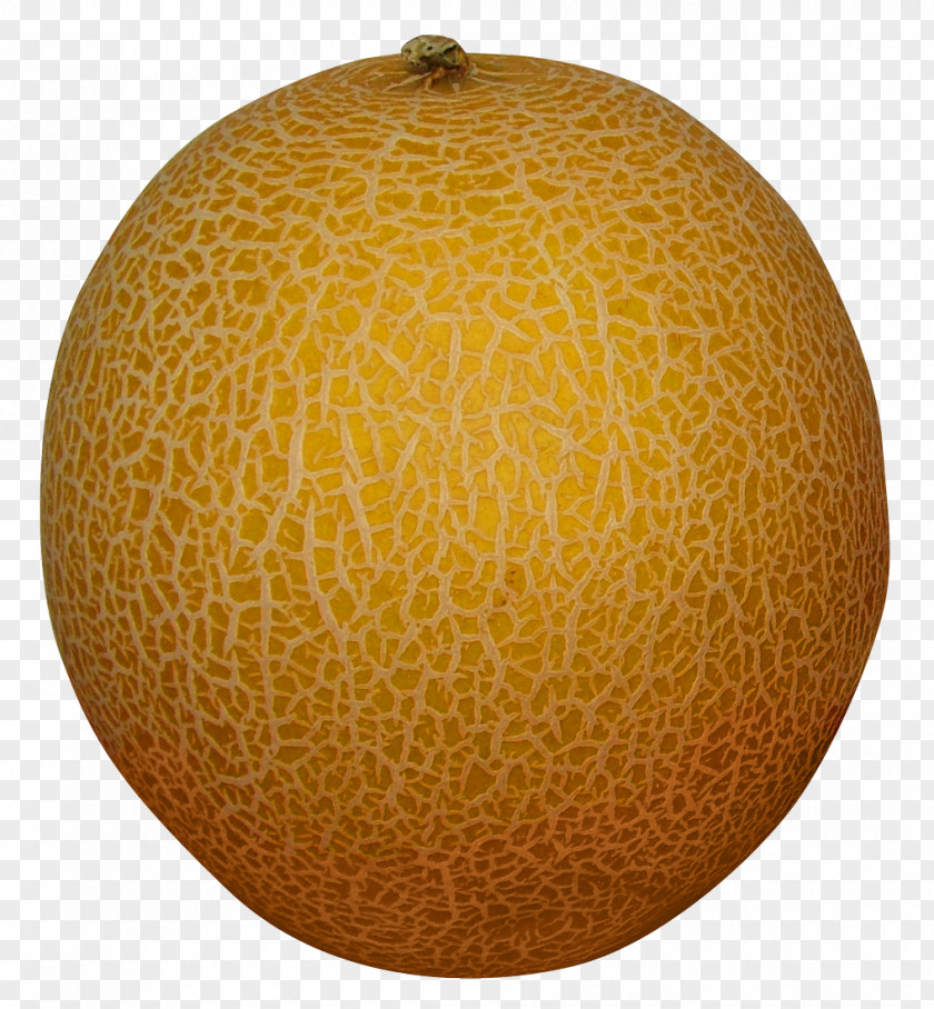 Melon Honeydew Cantaloupe PNG