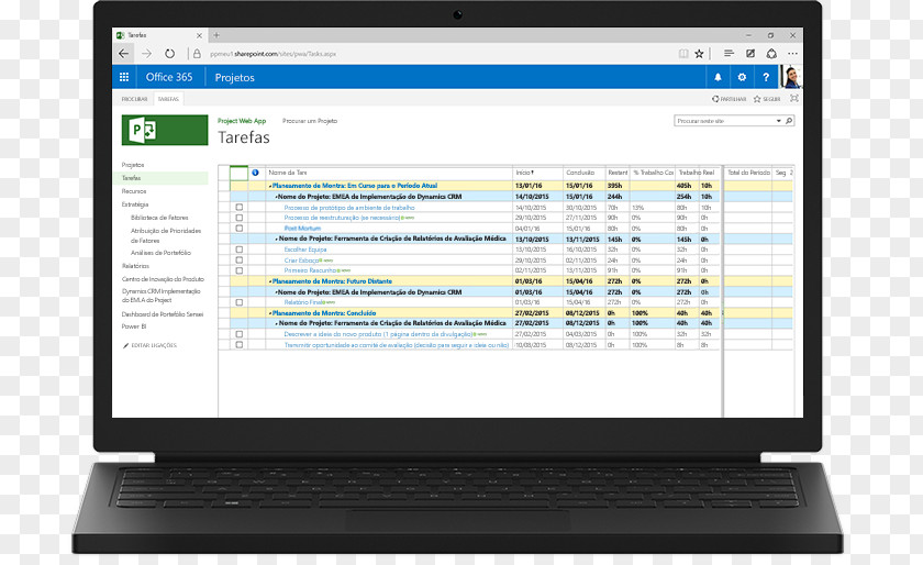 Microsoft Project Server Portfolio Management PNG