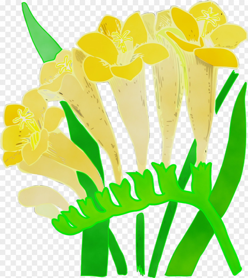 Plant Yellow Floral Design PNG