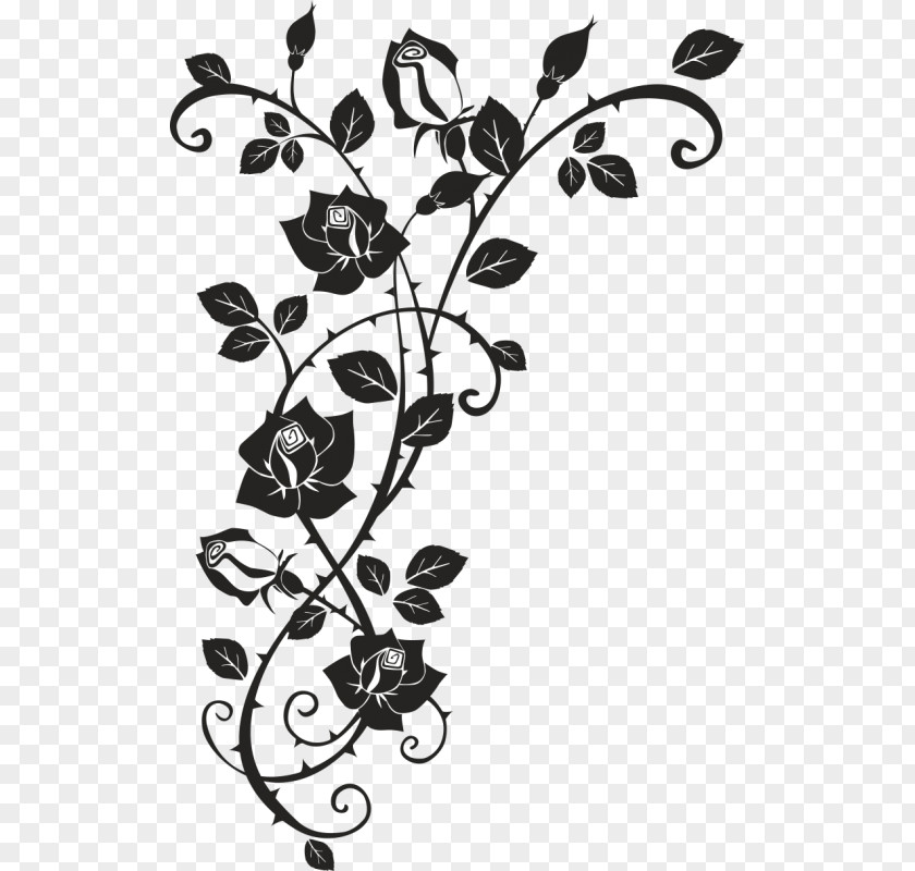 Rose Thorns, Spines, And Prickles Drawing Clip Art PNG