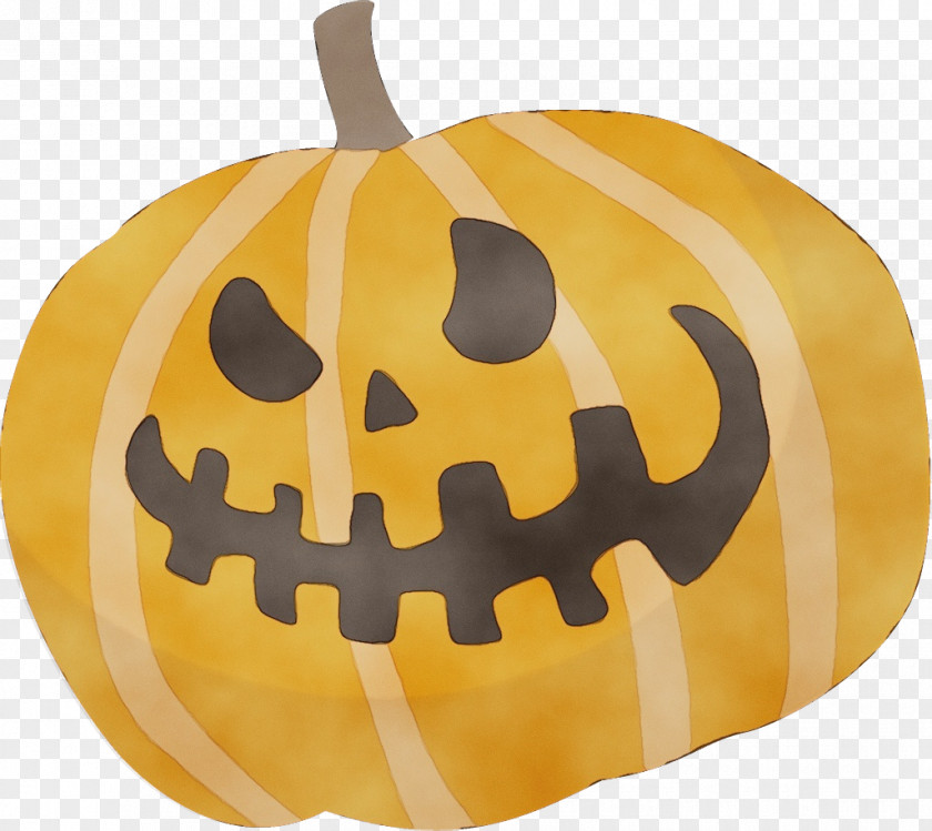 Vegetable Plant Pumpkin PNG