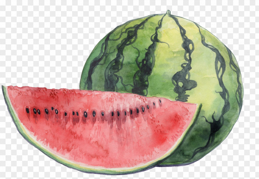 Watercolour Leave Watermelon Local Food PNG