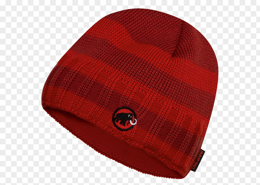 Beanie Knit Cap Hat Căciulă PNG