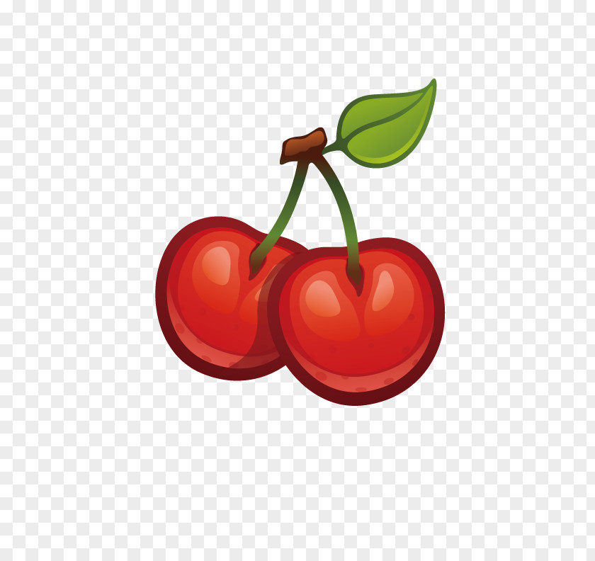 Delicious Apple Cherry Fruit Cerasus Berry PNG