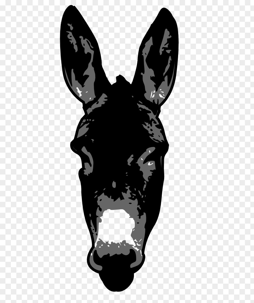 Donkey Mule Zazzle PNG