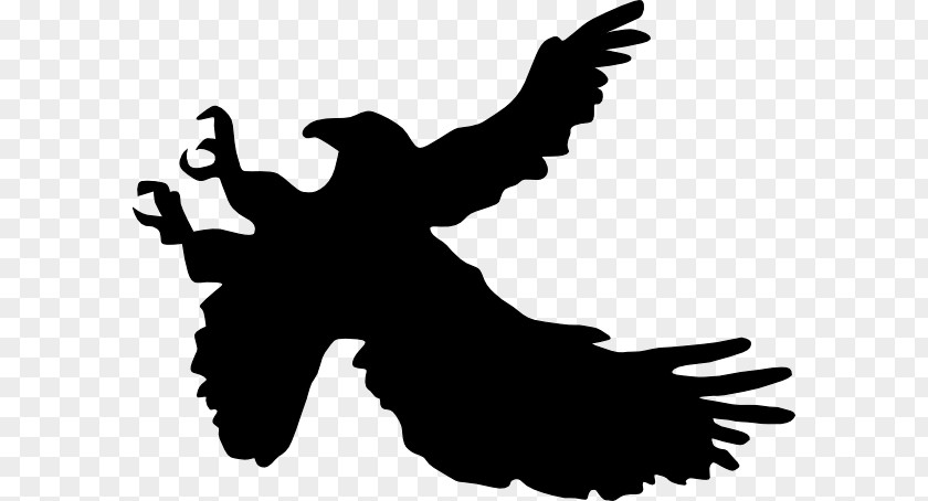 Eagle Silhouette Cliparts Bald Clip Art PNG