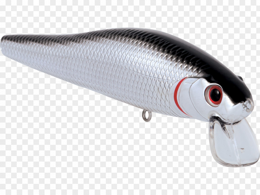 Fish Fishing Baits & Lures PNG