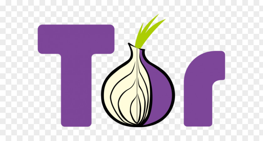 Onion Tor Browser Web Anonymous Browsing Anonymity PNG