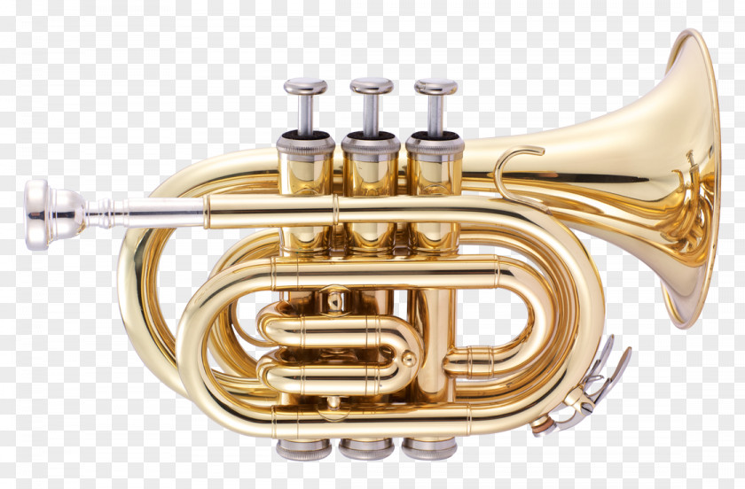 Pocket Trumpet Cornet Musical Instruments Brass PNG