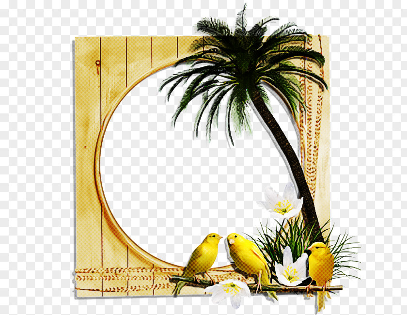 Tree Bird Coconut Cartoon PNG