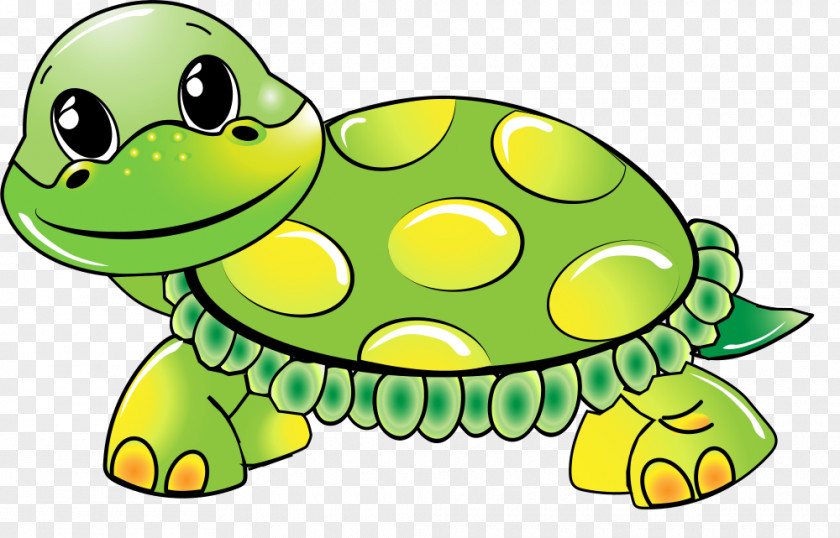 Turtle The Cartoon PNG