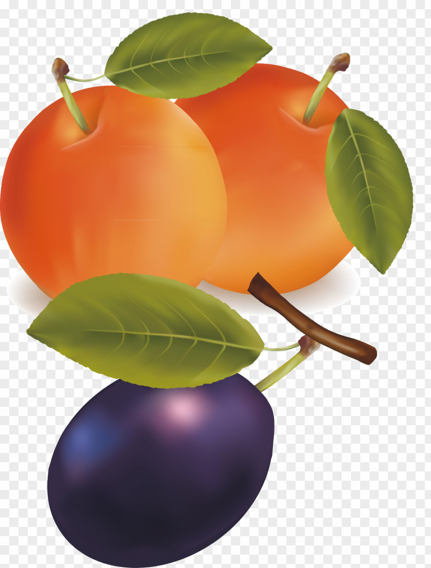 Apple Material Picture Zwetschge Download Clip Art PNG