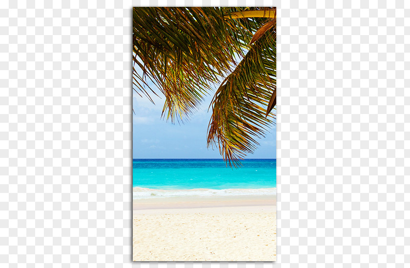 Caribbean Background Walpapper Desktop Wallpaper Playa Del Carmen IPhone High-definition Television PNG