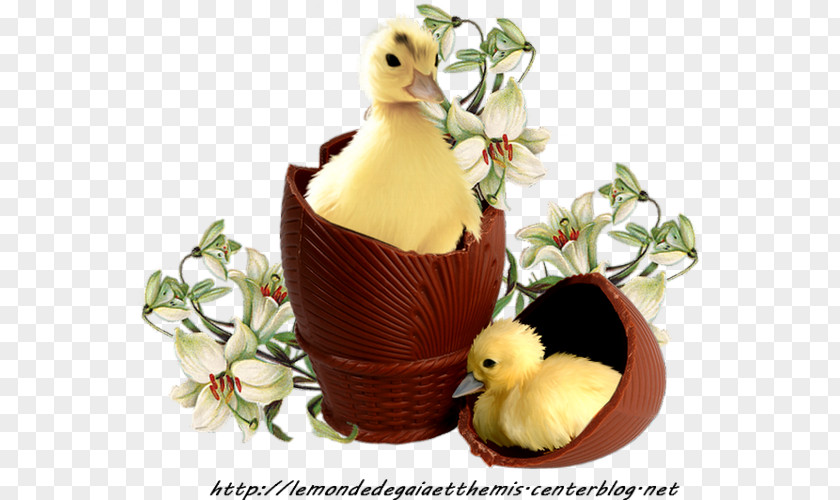 Duck Easter Bunny Egg Decorating PNG