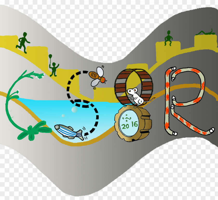 English Pointer Illustration Biology Design Logo Brand PNG