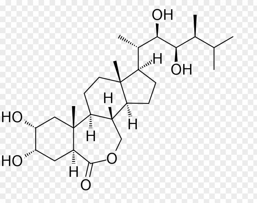 Plant Hormone Indore Brassinolide Manufacturing PNG