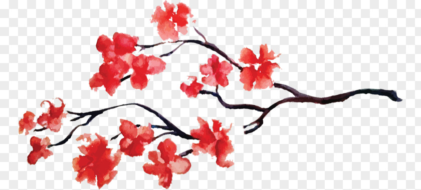 Sakura Branch Cherry Blossom Textile PNG