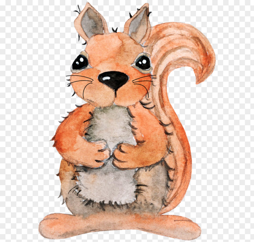Whiskers Tail Squirrel Cartoon PNG