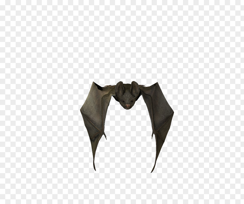 Bat Stock Photography Visual Arts PNG