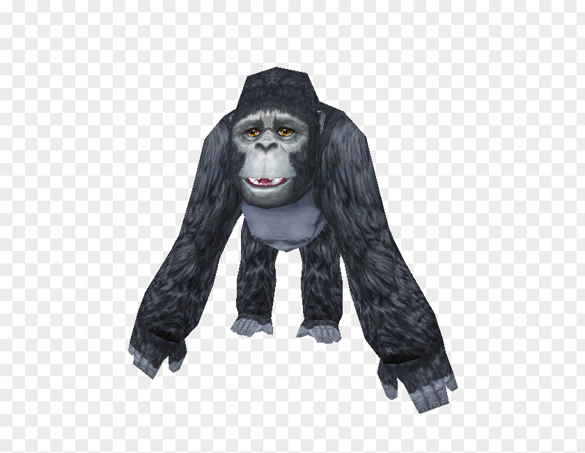 Mountain Gorilla Outerwear Great Apes PNG