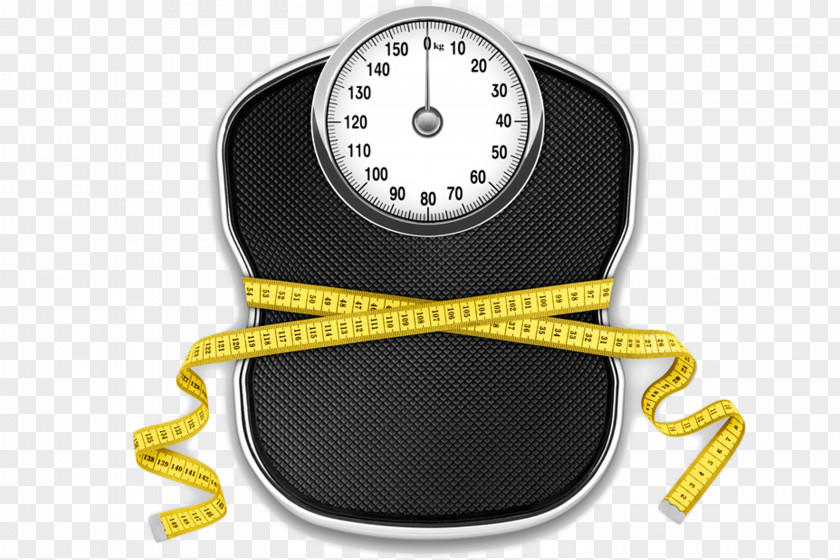 Weight Loss Measuring Scales Adipose Tissue Body Fat Percentage PNG