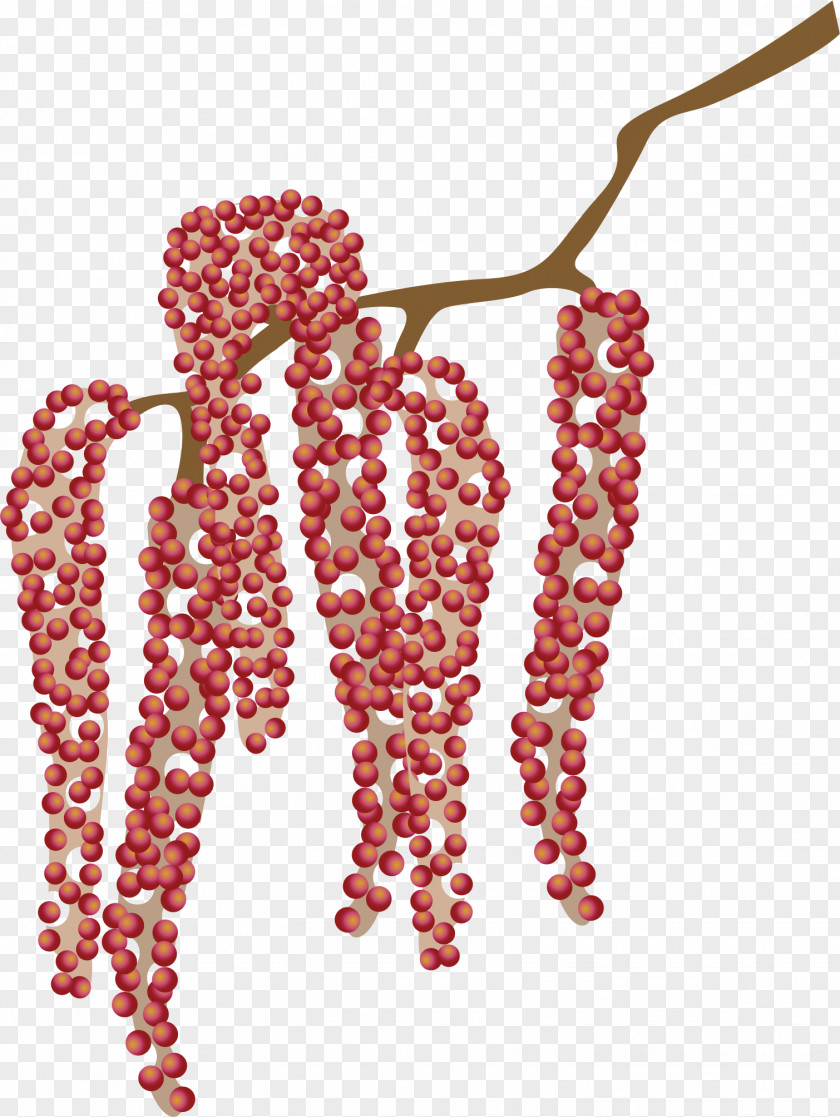 Cherry Tree Branches Data PNG