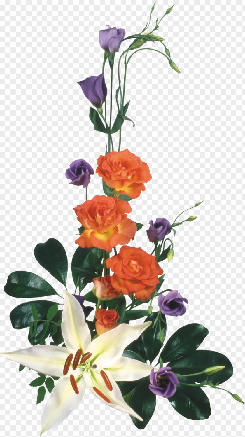 Flower Floral Design Bouquet Clip Art PNG