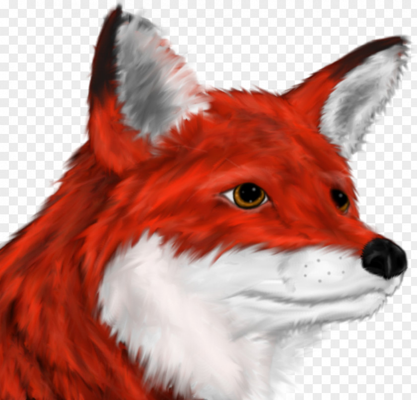 Fox Head Red Drawing Racing Fur PNG