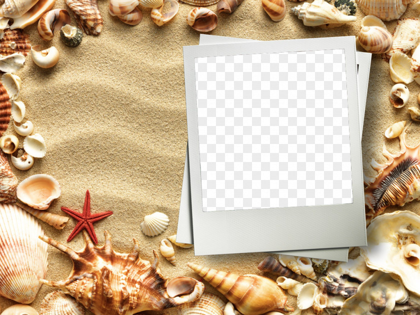 Natural Material Pearl Picture Frame PNG