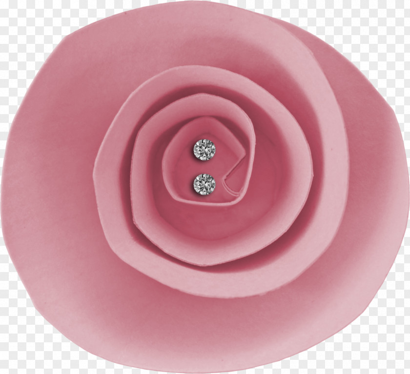 Rose Family Pink M PNG