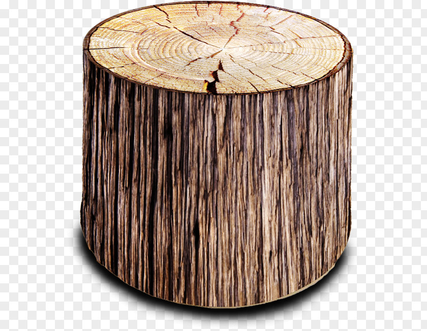 Tree Bean Bag Chairs Trunk Image PNG