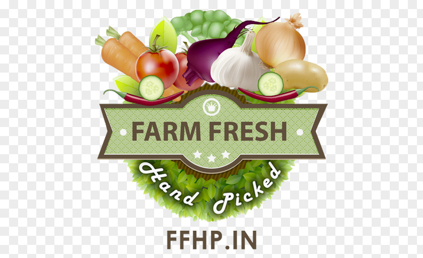 Vegetable Farm Fresh Hand Picked Vegetables, Fruits Broad Bean Health PNG