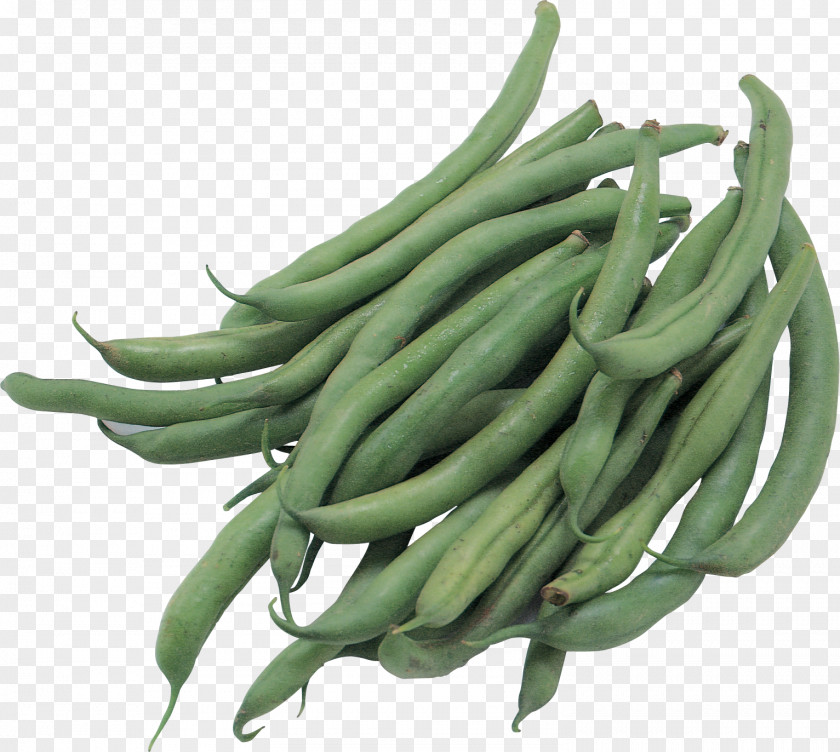 Vegetable Green Bean Common Pea PNG