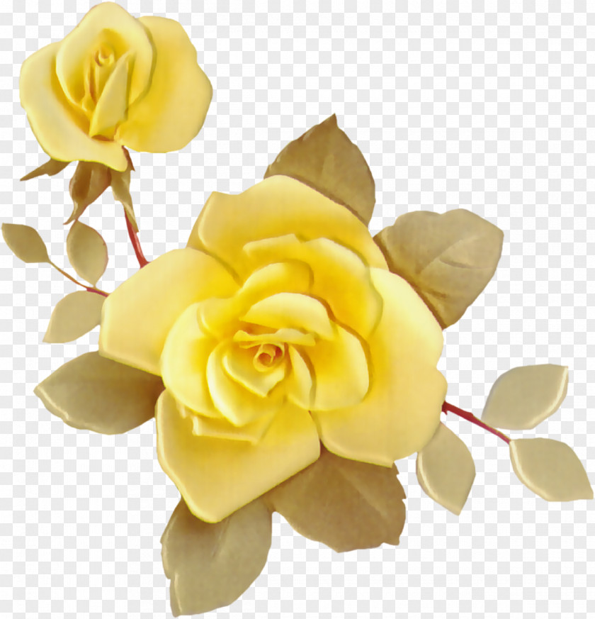 Yellow Rose Drawing Flower Idea Clip Art PNG