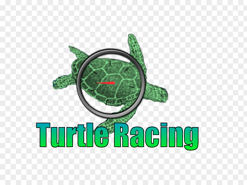 Car Racing Flyer Turtle Logo Brand Green PNG