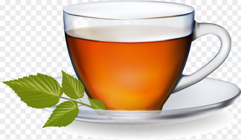 Cool Tea Cup Saucer Pattern Green Coffee Euclidean Vector PNG