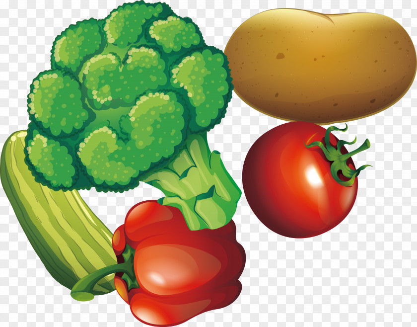 Illustration Cartoon Vegetables Vegetable PNG