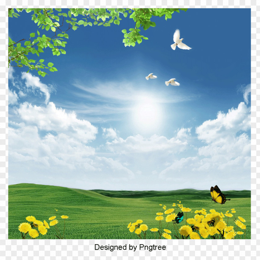Spring Sky Psd Files Desktop Wallpaper Image Photograph Display Resolution High-definition Television PNG