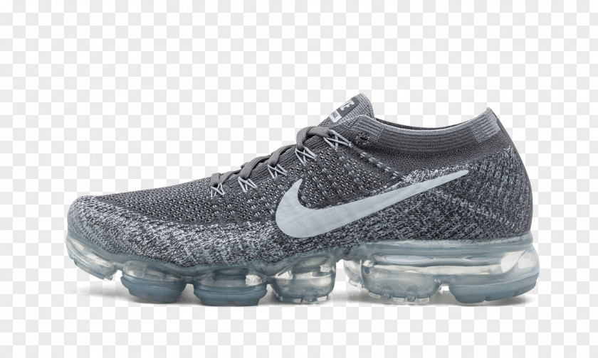 Stadium Shoe Nike Air Max Sneakers Flywire PNG