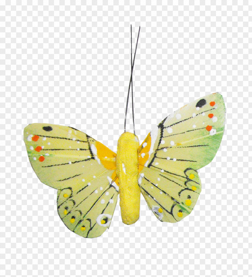 Yellow Butterfly Beautiful Nymphalidae Pieridae PNG