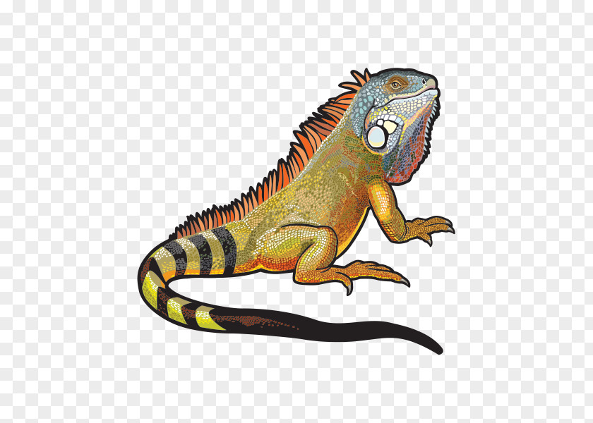 Art Tyrannosaurus Chameleon Background PNG