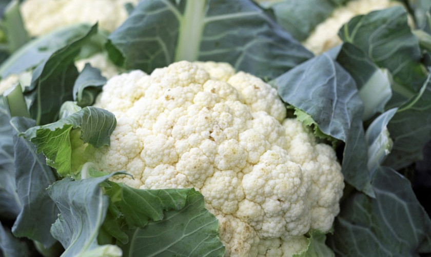 Cauliflower Broccoli Stuffing Vegetable Recipe PNG