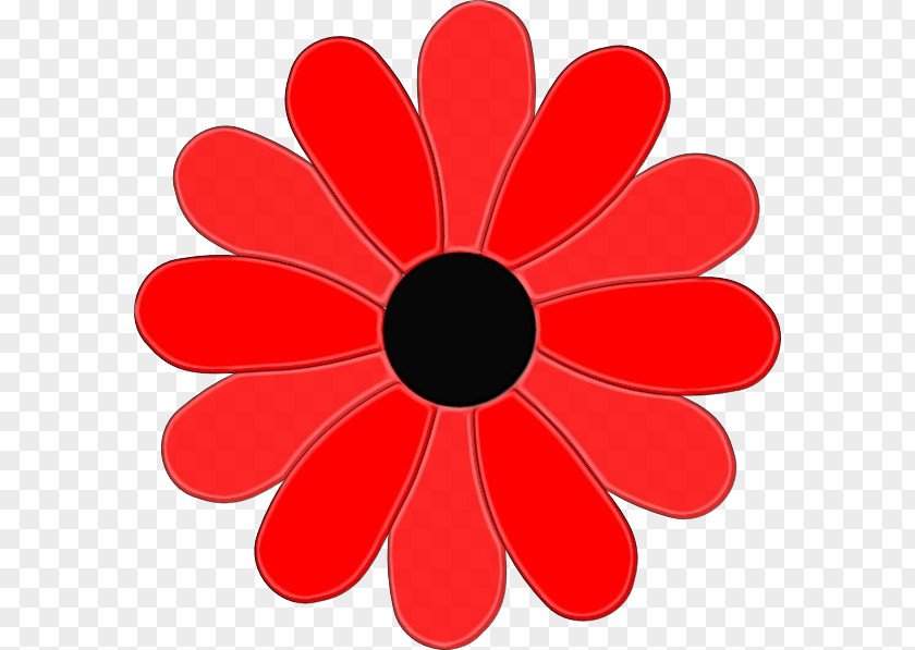 Coquelicot Material Property Red Flower PNG