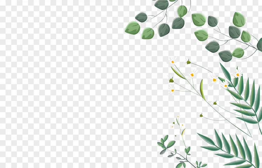Flower Animation Wreath Tutorial PNG