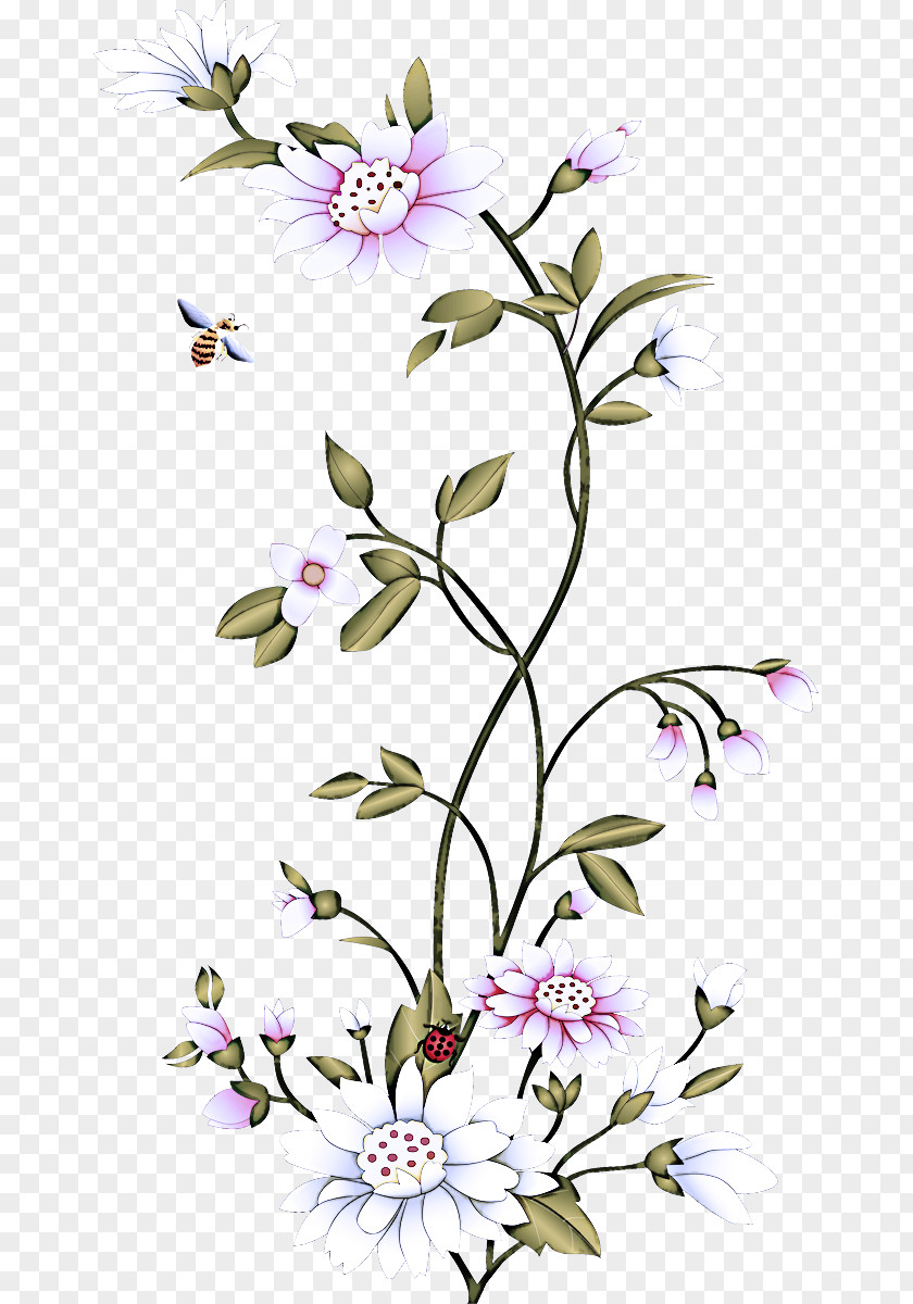 Flower Plant Pedicel Petal Cut Flowers PNG