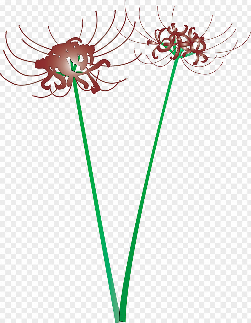 Hurricane Lily Flower PNG