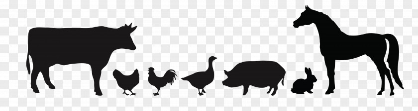 Silhouette Poultry Chicken Duck Cattle PNG