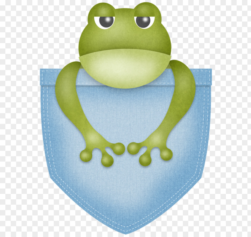 Simple Cartoon Illustration Frog Pocket Drawing Clip Art PNG