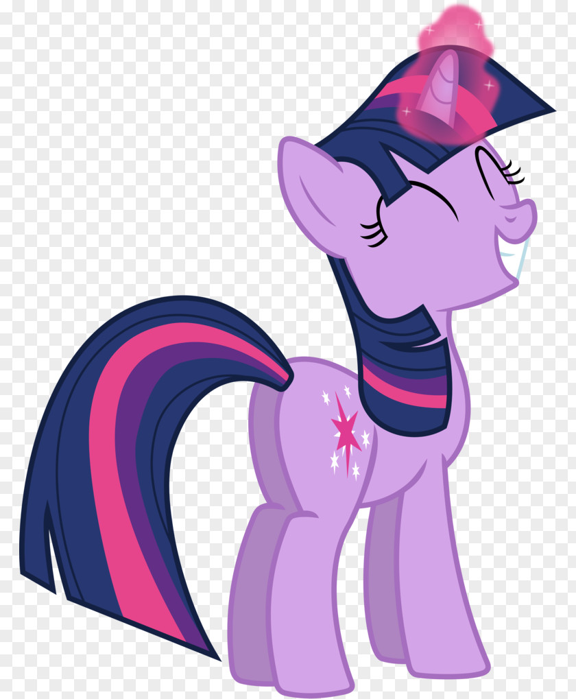 Twilight Sparkle Pinkie Pie Rarity Rainbow Dash PNG