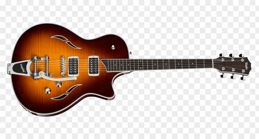 Electric Guitar Semi-acoustic Taylor Guitars PNG